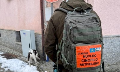 Bocconi avvelenati a Vignolo, dopo la morte di un micio arriva il cane antiveleno