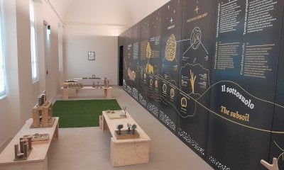 Biodiversità e sostenibilità: le scuole primarie di Alba alla scoperta del tartufo al MUDET