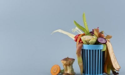 Il 5 febbraio si celebra la 13^ Giornata nazionale di prevenzione dello spreco alimentare