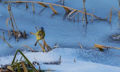 Un anno di attivit&agrave; al Parco Fluviale Gesso e Stura: i numeri e i risultati del 2025