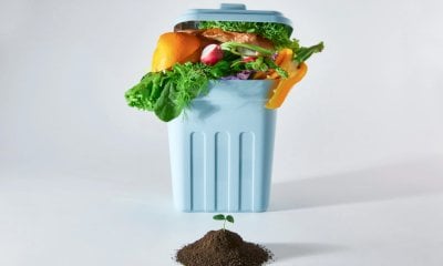 Spreco alimentare, Bergesio: “Meno burocrazia e più valore al cibo”