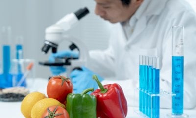 Corso HACCP 2026: formazione obbligatoria e gestione semplificata per le microimprese alimentari