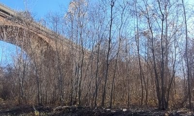 Cuneo, pulito un tratto dell’alveo dello Stura: un intervento per la sicurezza e la tutela del Parco