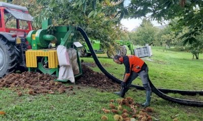 Difesa e innovazione del castagno: tornano le prove in campo di Confagricoltura a Caraglio
