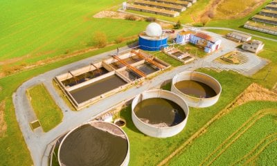 Dl Bollette, Coldiretti Cuneo: “Rivedere la norma sul biogas per garantire sostenibilità e occupazione