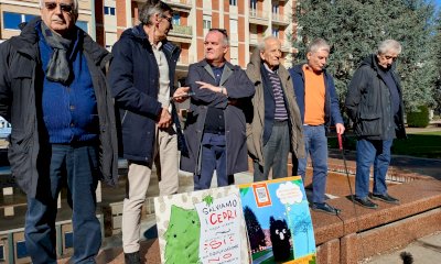 Piazza Europa, le opposizioni temono il blitz sui cedri: “Le ruspe potrebbero arrivare domenica sera”