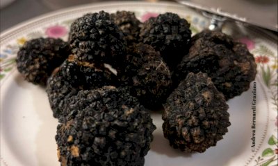 L'Atl del Cuneese propone ai ristoratori un corso dedicato al tartufo nero