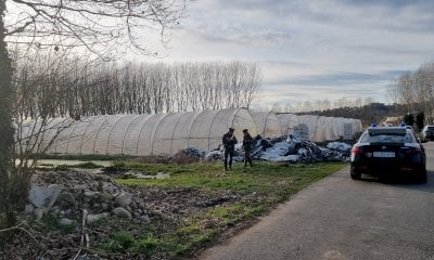 Omicidio nelle campagne di Bra, si sospetta un'esecuzione