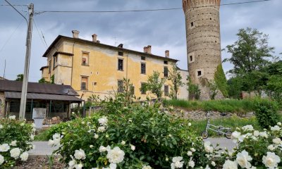 “Ti Regalerò Una Rosa”: così Priero diffonde e difende bellezza e cura nel paese 