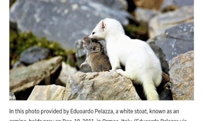 Milo e Tina, le mascotte delle Olimpiadi arrivano sulla scena mondiale con uno scatto della val Tanaro