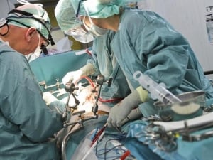  Donazione e trapianto di organi, il Piemonte conferma l'eccellenza a livello europeo