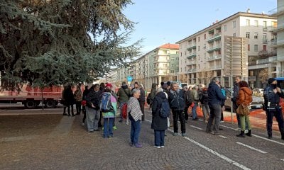La battaglia per i cedri di piazza Europa arriva sul tavolo di Mattarella: 
