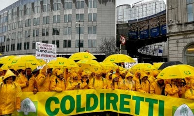 Per le agromafie un giro d'affari da 2,5 miliardi