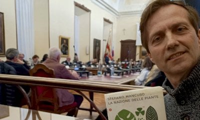 Piazza Europa, il “dottore dei ricci” sostiene la raccolta firme per i cedri