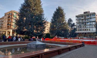 “L’abbattimento dei cedri non può essere solo una scelta tecnica”