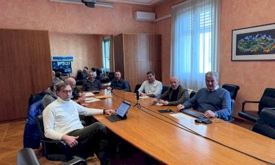 PSA, cinghiali infetti a pochi chilometri dalla Granda, l'attenzione resta alta