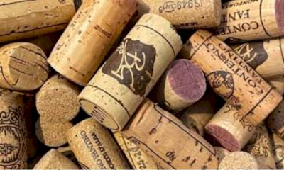 A Monforte d’Alba parte la raccolta dei tappi di sughero: all’Ecosportello ogni lunedì 