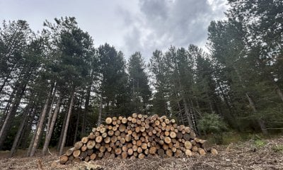 Anche a Dronero un incontro per parlare dei Piani Forestali di Indirizzo Territoriale
