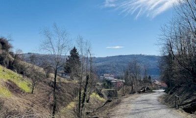San Michele Mondovì rinnova il verde pubblico: rimozione di piante pericolose e opere di riqualificazione