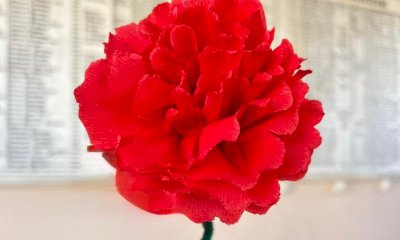 Dopo i mandala e le mille gru, Boves torna a unire storia, arte, cultura e speranza