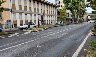 Cuneo, prosegue l'impegno per il verde urbano: prevista la piantumazione di trenta platani
