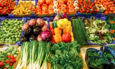 Crisi in Medio Oriente, i timori di Coldiretti: 