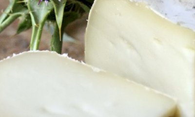 “Sapere i Sapori”: a Cuneo la scienza è in campo per il paesaggio, attraverso il gusto 