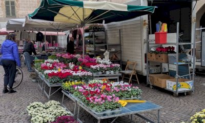 Il Mercato della Regina di Racconigi sbarca su TripAdvisor