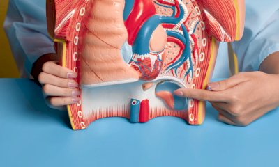 Con “Porte aperte in nefrologia” l’Asl CN2 dedica una mattinata alla prevenzione delle malattie renali