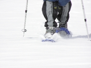 Notturna musicale - ciaspolando a Trinità di Entracque