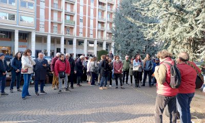 Piazza Europa, gli ambientalisti esultano: “Oggi è un giorno di festa, abbiamo salvato i cedri”