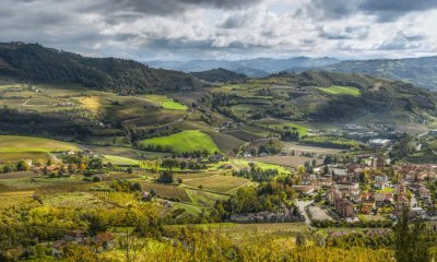 Nuovo bando per la denominazione Alta Langa DOCG: le domande entro il 23 marzo