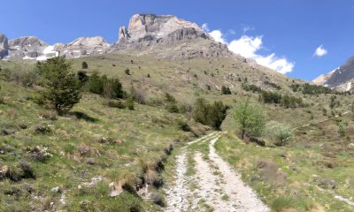 Nuovo direttivo per la Pro Loco di Viozene