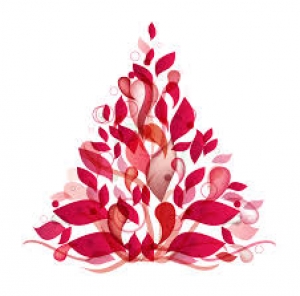 Dolcezze della vigilia a Saluzzo con CoopCulture