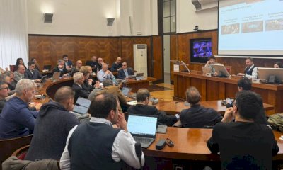 Allison-Dana, Bergesio: 