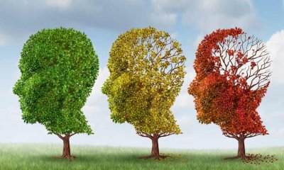 Al via il progetto Lindal: un sostegno per le persone con patologie neurodegenerative e i loro caregiver