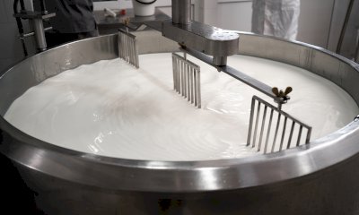 Latte e crisi in Medio Oriente, Coldiretti Cuneo: 