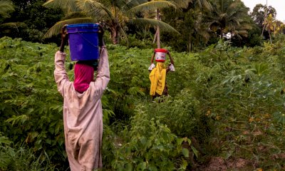Acqua Sant&rsquo;Anna sostiene il progetto Lvia sull&rsquo;Isola di Pemba in Tanzania
