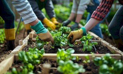 Coltivazioni Sociali: Fondazione CRC con Filiera Futura