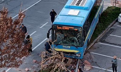 Pullman fuori strada abbatte un albero: l'incidente a Mondovì