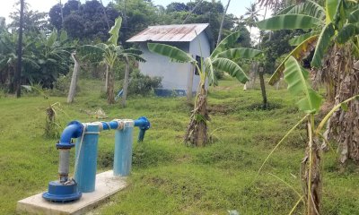 Sant'Anna e Lvia: un impegno comune per la giornata mondiale dell'acqua 