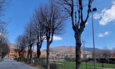 Garessio, al via la potatura dei tigli in piazza d'Armi: primo passo verso il rinnovamento sportivo