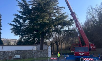 Paroldo, due alberi abbattuti per motivi di sicurezza