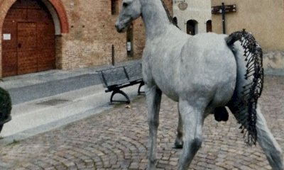 Il cavallo di Napoleone rivive a Bene Vagienna: arte, storia e memoria in mostra a Casa Ravera