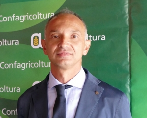 'Le feste natalizie un'occasione per conoscere meglio il territorio e i prodotti tipici'