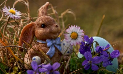 Bra, al via i laboratori pasquali al Museo Craveri e a Palazzo Traversa