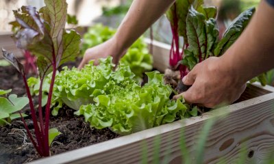 La 15° Giornata della Meteorologia porta la scienza a Busca