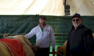 Fossano, grande successo per la 97&ordf; edizione della Fiera del Vitello Grasso