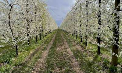 Maltempo, il monito di Coldiretti Cuneo: 