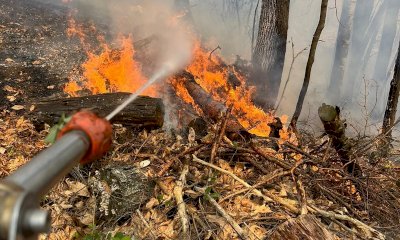 Anziano muore tra le fiamme a Chiusa di Pesio: tragedia nei boschi di borgata Rumiano